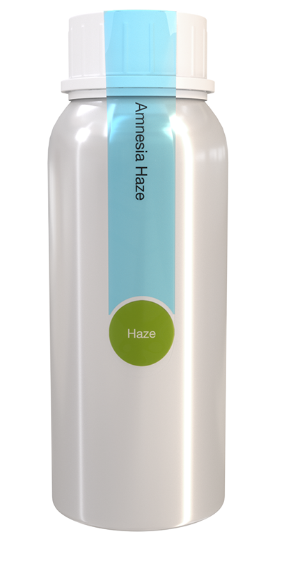 Amnesia-Haze Terpenes | Terpene Profile | Eybna Technologies