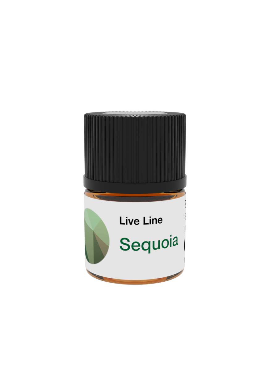 Sequoia image