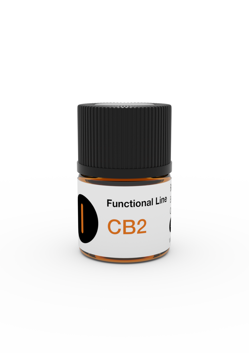 CB2™ image
