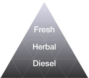Gas Note Formulation | Enhancer Line | Eybna Technologies Ltd.